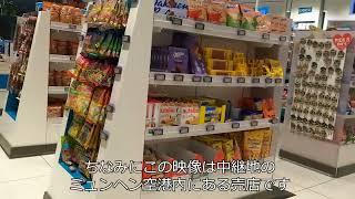 【名所探訪】中継地ミュンヘン空港