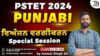 PSTET 2024 Punjabi "Saturday Special" ਵਿਅੰਜਨ ਵਰਗੀਕਰਨ by Anmol Singh Sir #pstet2024 #pstetpunjabi