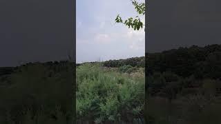 قرآن بصوت محمد صديق المنشاوي
