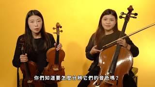 白鷺鷥音樂小學堂 樂器大觀園 提琴篇(二) 音色介紹