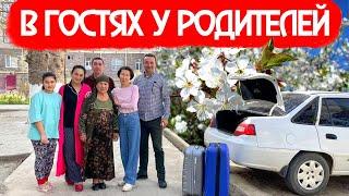 В ГОСТИ К РОДИТЕЛЯМ | ПРОГУЛКА ПО КАРШИ