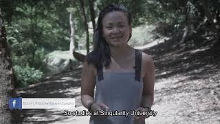 Pauline Nguyen -  Movement