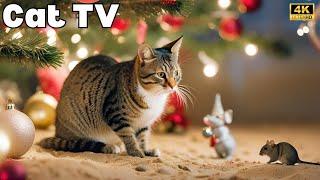 Cat TV for Cats to Watch| Christmas Mouse sand grabbing, hide & seek and playing on full screen! 4K