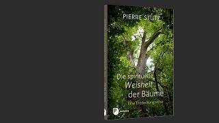 Die spirituelle Weisheit der Bäume von Pierre Stutz