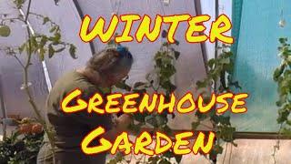 Fall And Winter Gardening In The Greenhouse