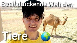 Beeindruckende Welt der Tiere