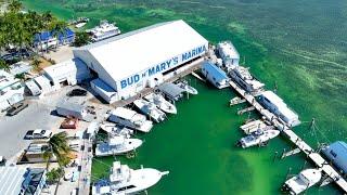 Spring Break Fishing Report | Sailfish, Wahoo & Tarpon Heating Up in Islamorada!