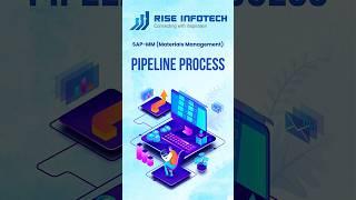 Pipeline Process  #saptraining #sapmm #sapmodules #sapsd #saps4hana #sapabap #sapfico