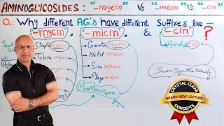 Aminoglycosides | Source & Nomenclature