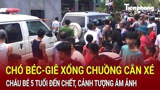 Bản tin thời sự 22/11: Chó béc-giê xổng chuồng cắn xé đến chết cháu bé 5 tuổi, cảnh tượng ám ảnh