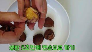 생밤 삶지 않고 5초만에 맨손으로 까는 방법 3가지 /1년 넘게 보관방법 | How to peel raw chestnuts