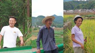 Today our family collected rice, and everyone came to help. We're so happy