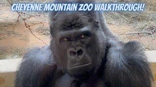 Cheyenne Mountain Zoo Walkthrough | Colorado Springs Adventures | 2024 Zoo Review | Family Friendly