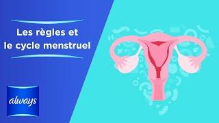 Qu'est-ce que les règles et le cycle menstruel?