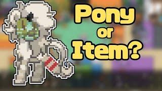 Pony Or Item?