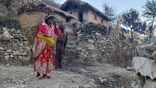 organic himalayan nepali village life in nepal॥ most peaceful and relaxing village॥