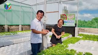 Rooftop Greenhouse Possible ba