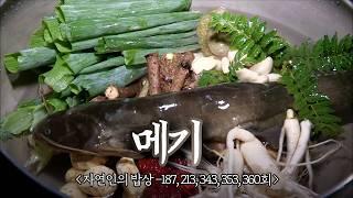 한 마리가 통째로!! 흙내 꽉~잡은 스테미너 끝판왕 메기요리 모음집｜자연인의 밥상