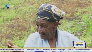 Show da Manhã: Centenária Irene ainda trabalha no campo agrícola