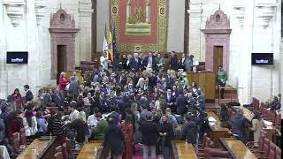 SESIÓN PLENARIA DEL 19 DE DICIEMBRE DE 2024