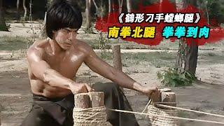 1983年絕版武俠片，南拳北腿大戰武林第一高手，拳拳到肉精彩絕倫不容錯過！精彩