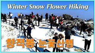 무주 덕유산 향적봉 겨울 눈꽃산행 Christmas Snowflake Hike