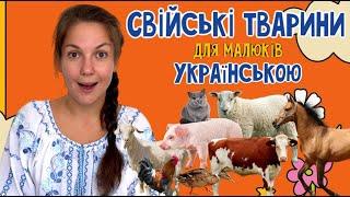 Вчимо свійських тварин з Пані Юлею українською. Розважально-навчальне відео про тварин для малюків.