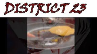 District 23