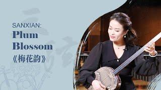 Chinese #Music Tutorial: 'Plum Blossom' on 'Sanxian' | 云上民乐课：三弦演奏《梅花韵》| CNODDT