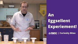 Curiosity Bites: An Eggsellent Experiment