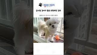 웃긴 상황들 모음 288탄 ㅋㅋㅋㅋ