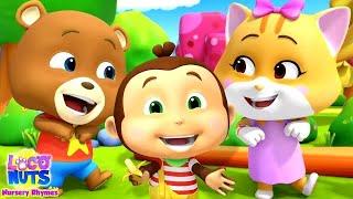 Five Little Babies + Nursery Rhymes and Kids Songs - LIVE