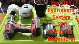 Easy $30 Homemade Deep Water Culture (DWC) Hydroponics System DIY