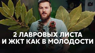 2 лавровых листа и  ЖКТ,  как в молодости