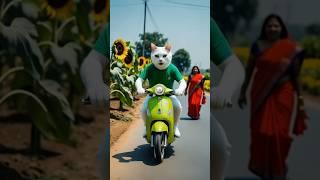 Indian Woman‍trails Cat #miawmiaw #miaw #cat #aicat #catvideos #catlovers #aistory #fypage
