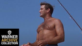 5 Moments That Prove Rod Taylor Was Simply The Best! | Warner Archive