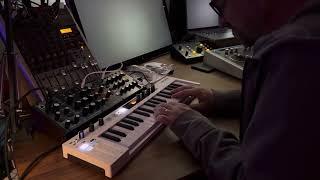 Arturia Keystep 37 arpeggiator improv on a Behringer Model D