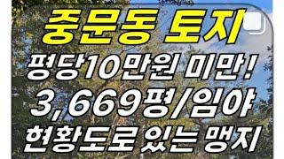 (급매) 평당 5만원 미만+중산간도로 위쪽! 서귀포시 중문동 토지 매매(3,669평/현황도로 있는 맹지/평당 10만원 미만/임야) #중문동토지 #서귀포토지 #제주도토지 #제주토지