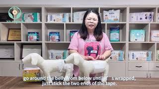 The Difference between Male Pet Diapers and Female Pet Diapers