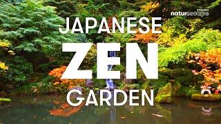 Meditate in the Portland Japanese Garden | 1 Hour of relaxing ASMR Sounds