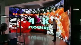 Led customized display