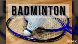 Badminton sport turi tarixi