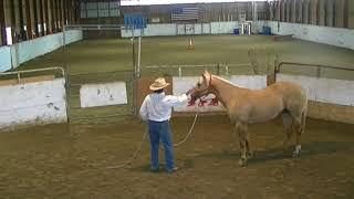 Round Pen - Day One