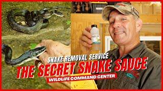 Catching Snakes Made Easy | Wildlife Command Center - Ep. 2