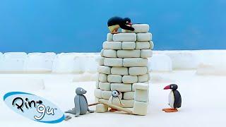 Pingu Builds a Tower  | Pingu - Official Channel | Cartoons For Kids