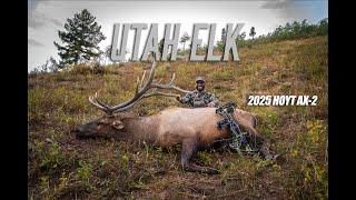 CHAD MENDES' UTAH ARCHERY ELK HUNT!! CRAZY RUT ACTION!!!