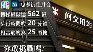 《港鐵癲梯》實試何文田站562級樓梯！後生仔慘叫好沮喪