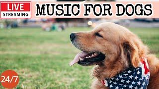 [LIVE] Dog MusicDog Calming MusicDog Separation Anxiety ReliefDeep Sleep Music For Dogs19