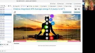 Bio Well Scan Explainer