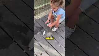 Эта утка напала на девушку️